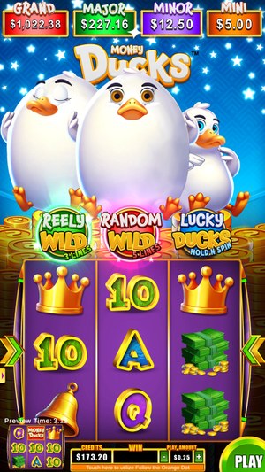 Money Ducks 3x3 screenshot