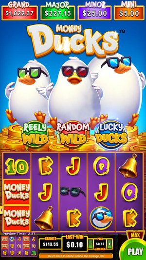 Money Ducks 5x3 screenshot