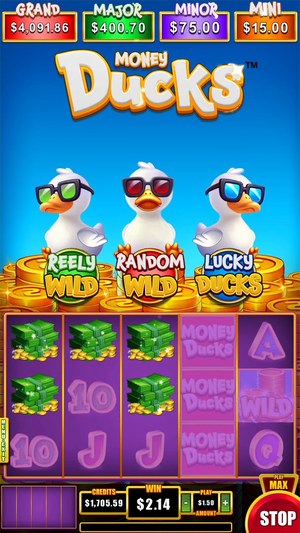 Money Ducks 5x3 screenshot