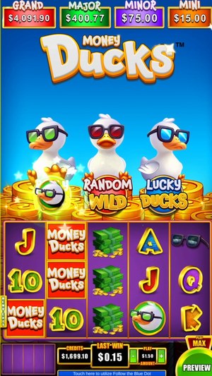 Money Ducks 5x3 screenshot