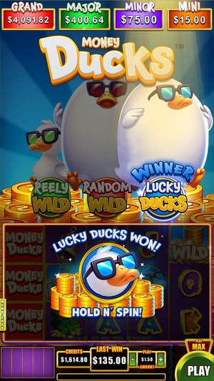 Money Ducks 5x3 screenshot