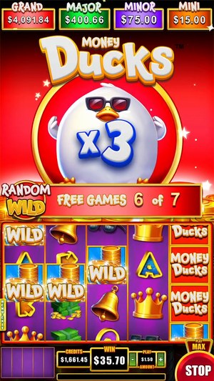 Money Ducks 5x3 screenshot