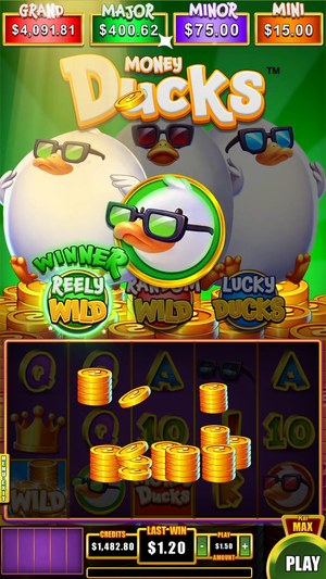 Money Ducks 5x3 screenshot